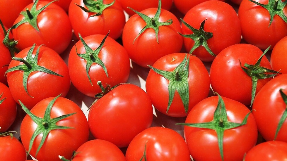 الأطباء يحددون الأشخاص الذين يجب ألا يتناولوا الطماطم