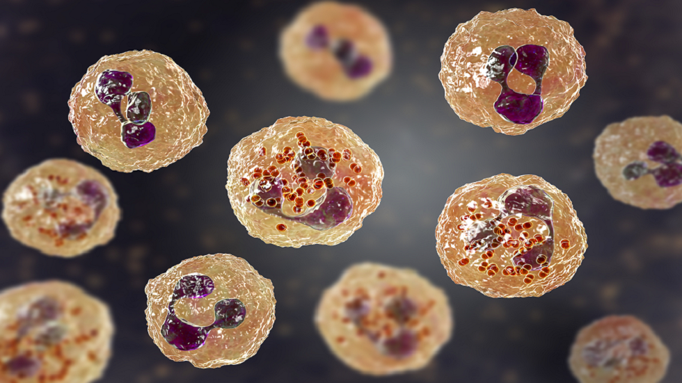 تصميم "فيروس" اصطناعي في إنجاز طبي "مثير للغاية"!