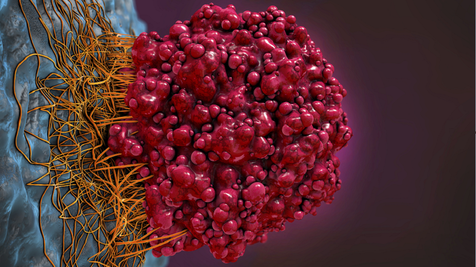 "فيروسات مسرطنة" تحمل "سر" إنقاذ الآلاف من المرض القاتل