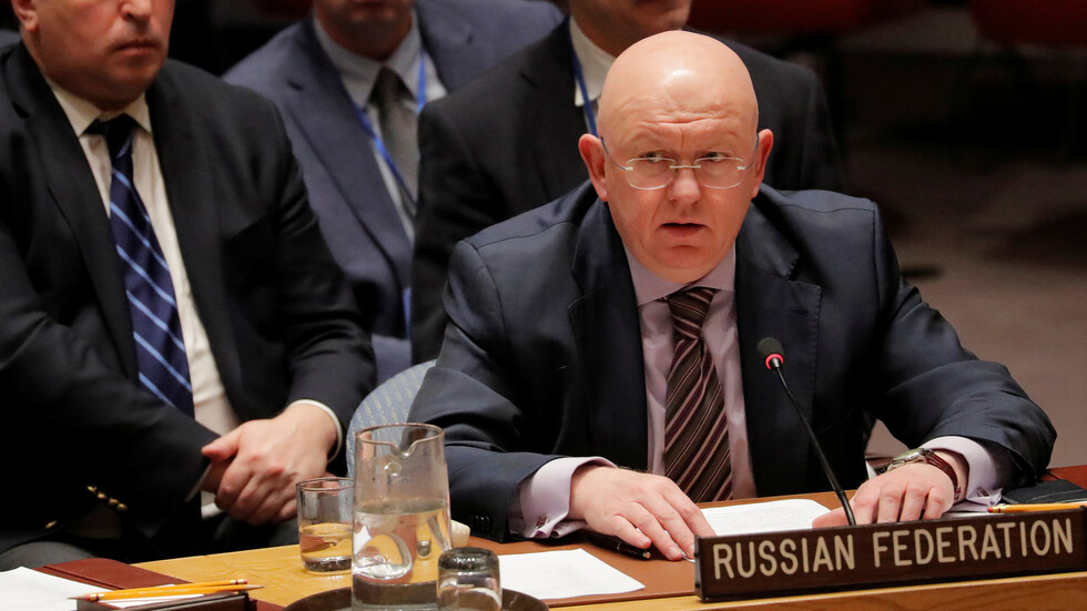 روسيا في مجلس الأمن: من حق وواجب سوريا مكافحة الإرهاب