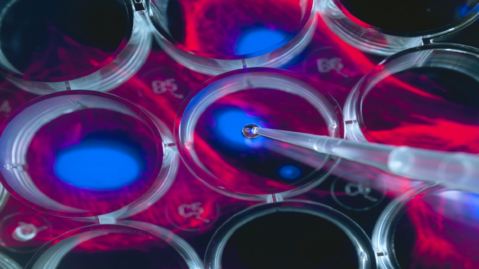 علاج "ثوري" للسرطان يحارب المرض "بشراسة"!