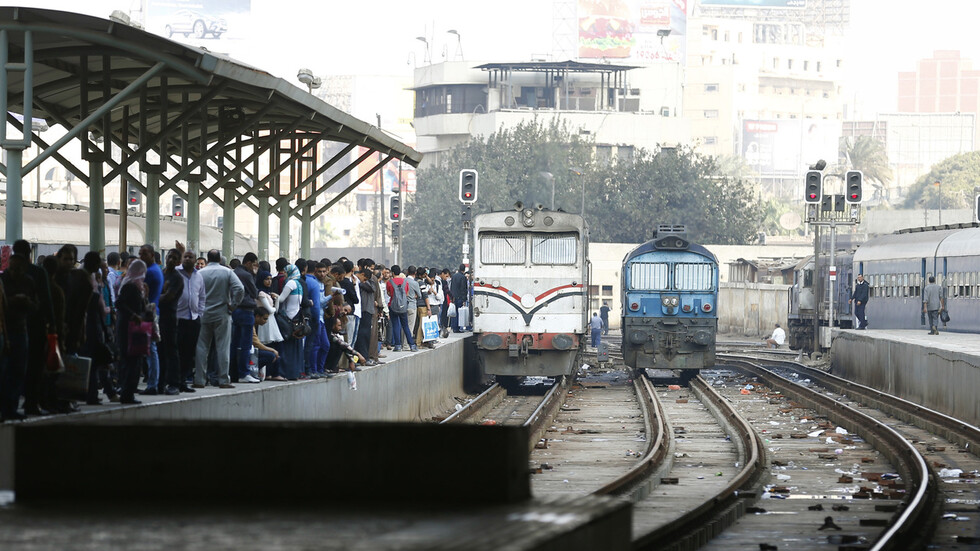 شاهد.. حمار يستقل قطار ركاب في مصر وصاحب الحيوان يهدد بالانتحار