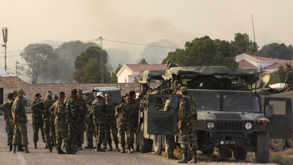 مصر تدين الهجوم الذي استهدف ثكنة للجيش الجزائري