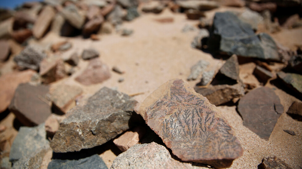 مصر تمنح أول ترخيص لاستخراج الذهب منذ 15 عاما