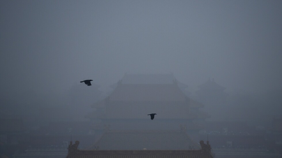 حقيقة غزو الغربان لمدينة ووهان تزامنا مع تفشي وباء "كورونا"!