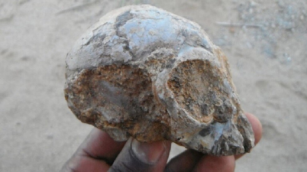 اكتشاف جدران غريبة مصنوعة من عظام وجماجم البشر أسفل كاتدرائية