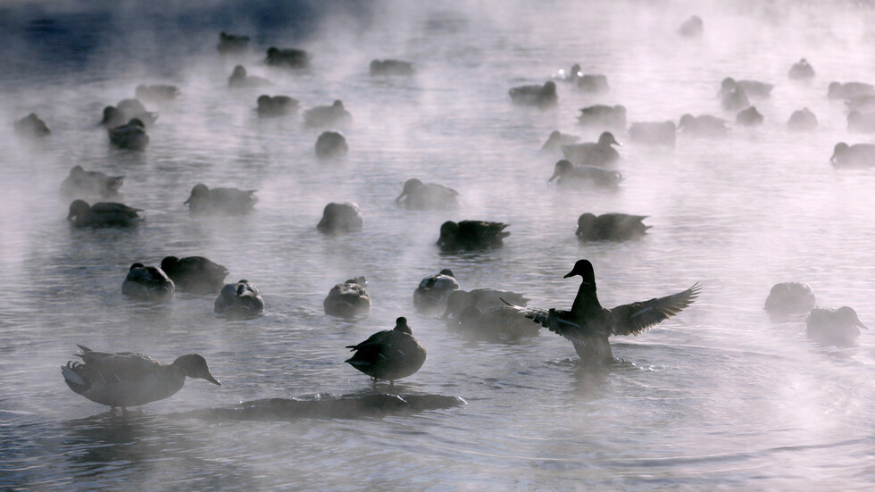 الصين تستعد لإرسال 