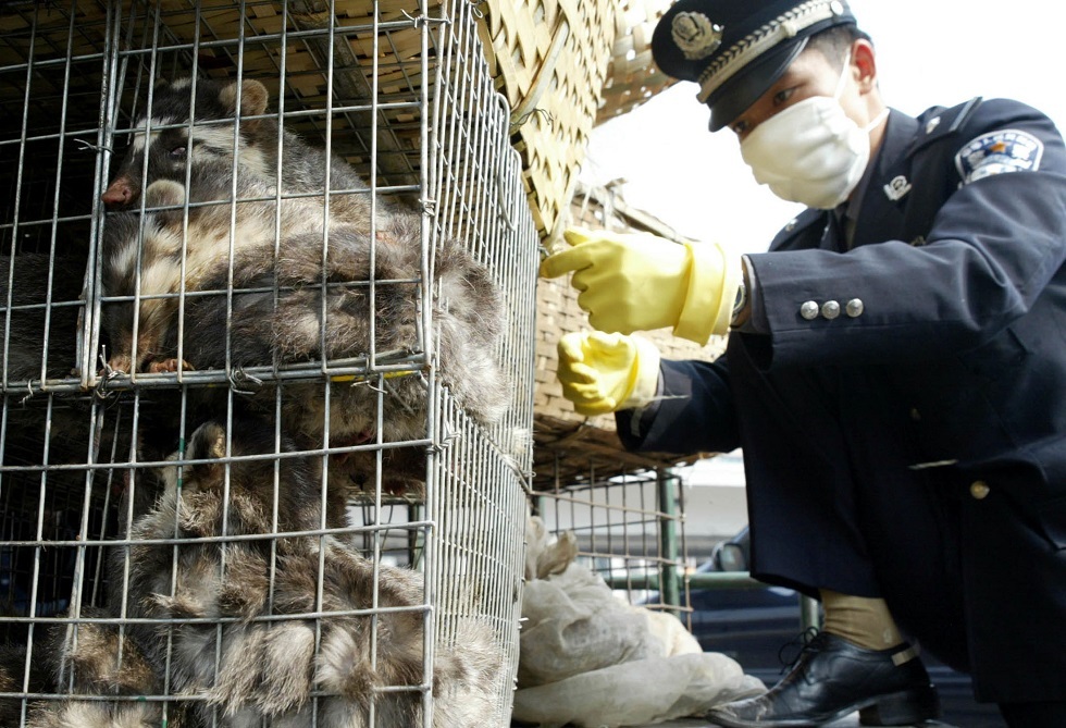 الصين تمنع تجارة الحيوانات البرية وأكلها