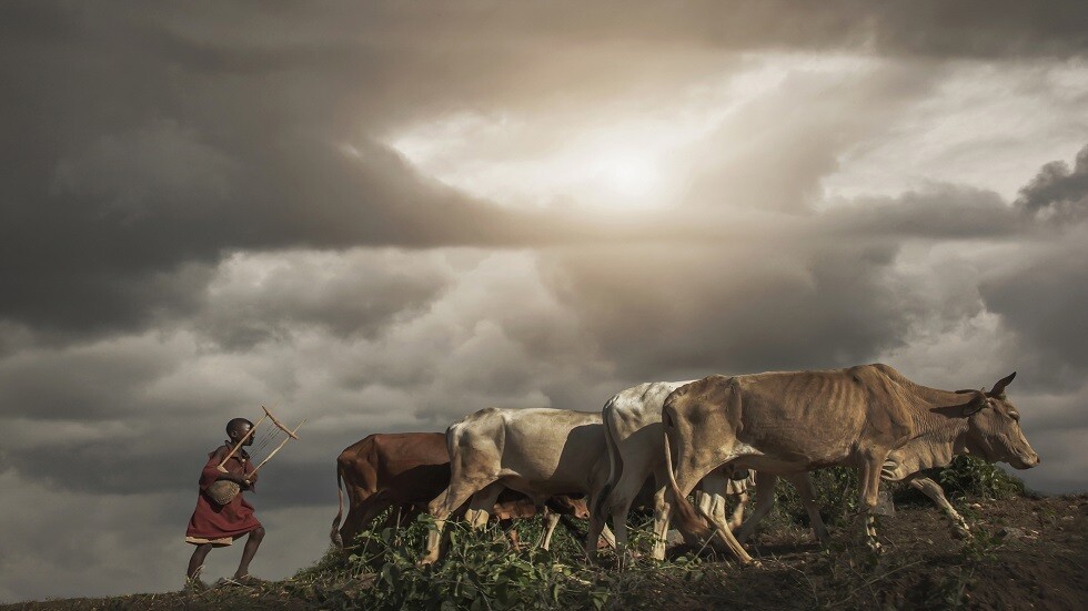 قرويون في إثيوبيا ينزفون من أنوفهم وأفواههم قبل موتهم بسبب مرض غامض