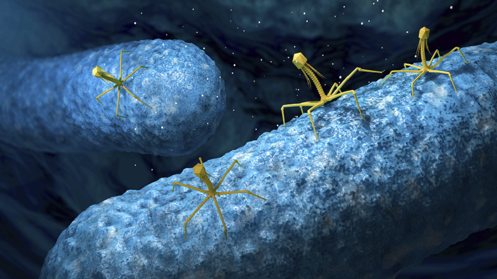 خبراء صحة: المضادات الحيوية لا تنفع مع 