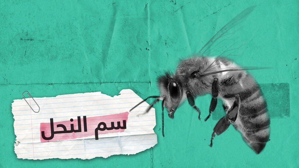 سم النحل.. يمكنه أن يقضي على السرطان والإيدز ولكنه قد يصبح قاتلا