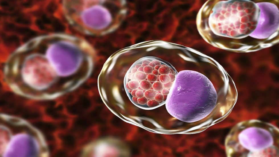 اكتشاف "كنز دفين" مفاجئ في أعماق المحيط الأطلسي!