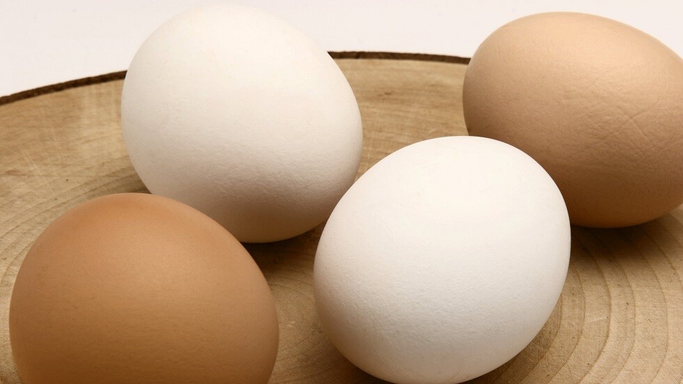 كم بيضة يحبذ أن نتناول في اليوم؟