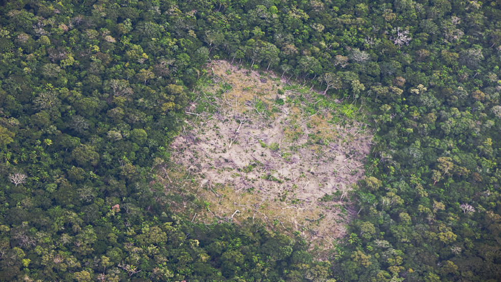 علماء يحذرون من 