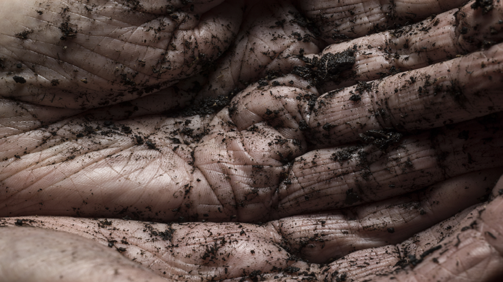 الأرض تجاوزت نصف الطريق إلى أزمة مناخية كارثية!