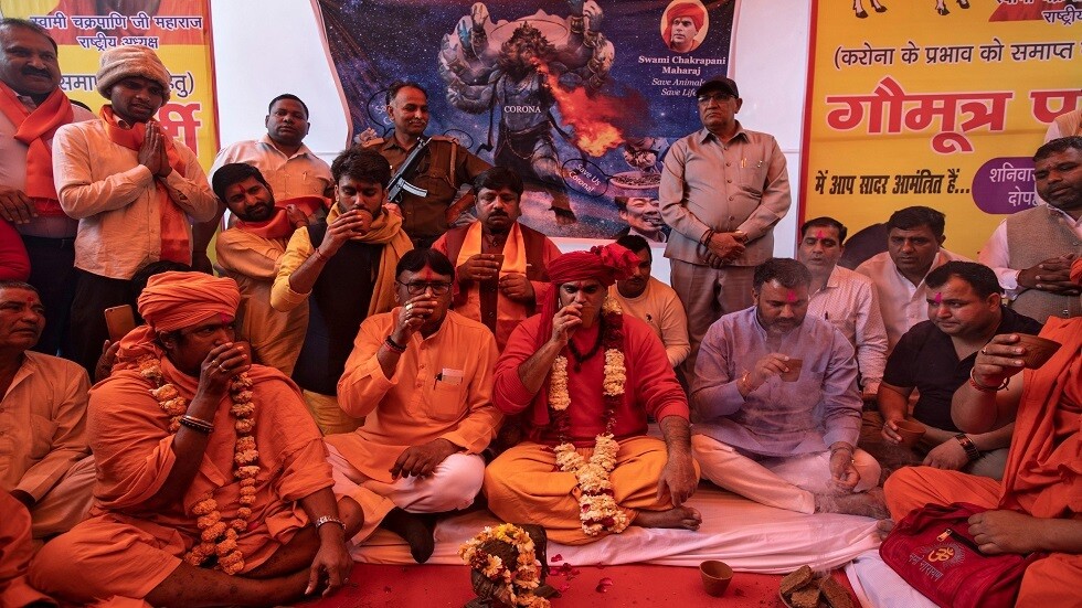 جماعة هندوسية تقدم بول البقر للمدعوين في حفل لعلاج كورونا