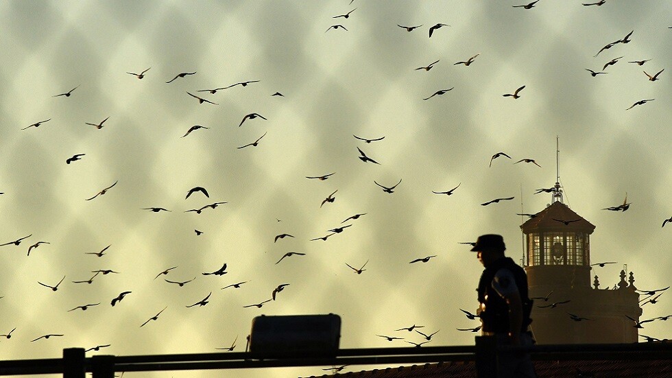 الأرجنتين تسجل قفزة في عدد حالات كورونا