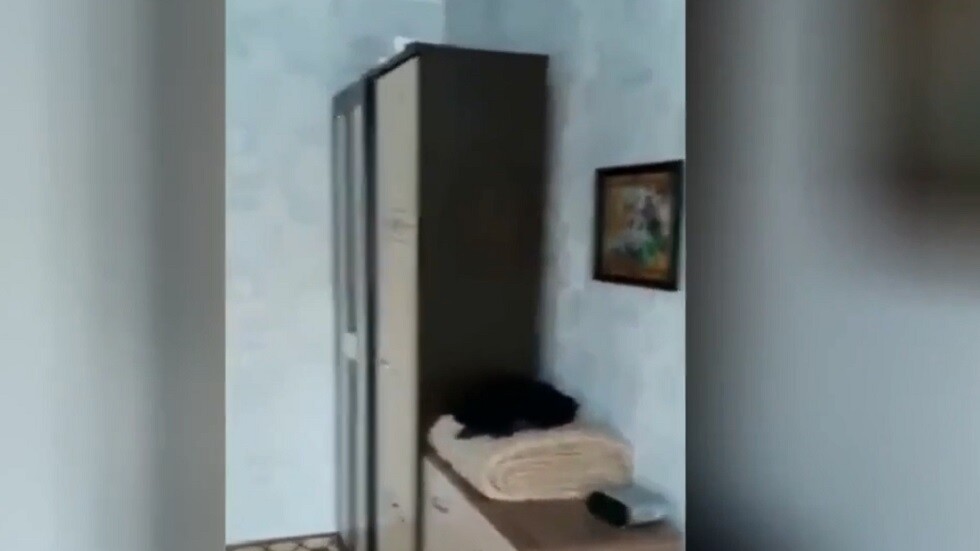 هزة أرضية قوية تضرب أقصى شرق روسيا
