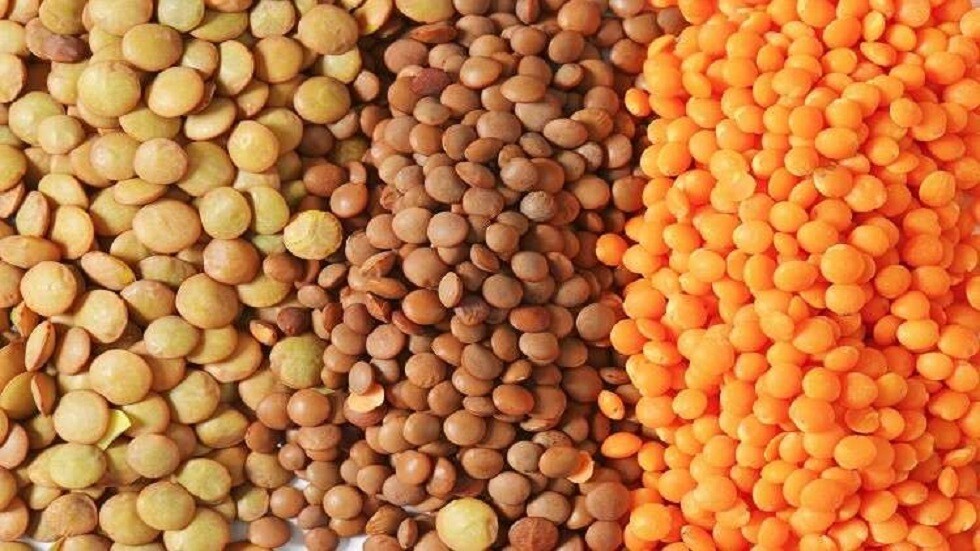 مواد غذائية بديلة للحوم