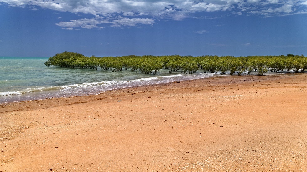 العلماء يتوقعون اختفاء نصف الشواطئ الرملية بحلول عام 2100