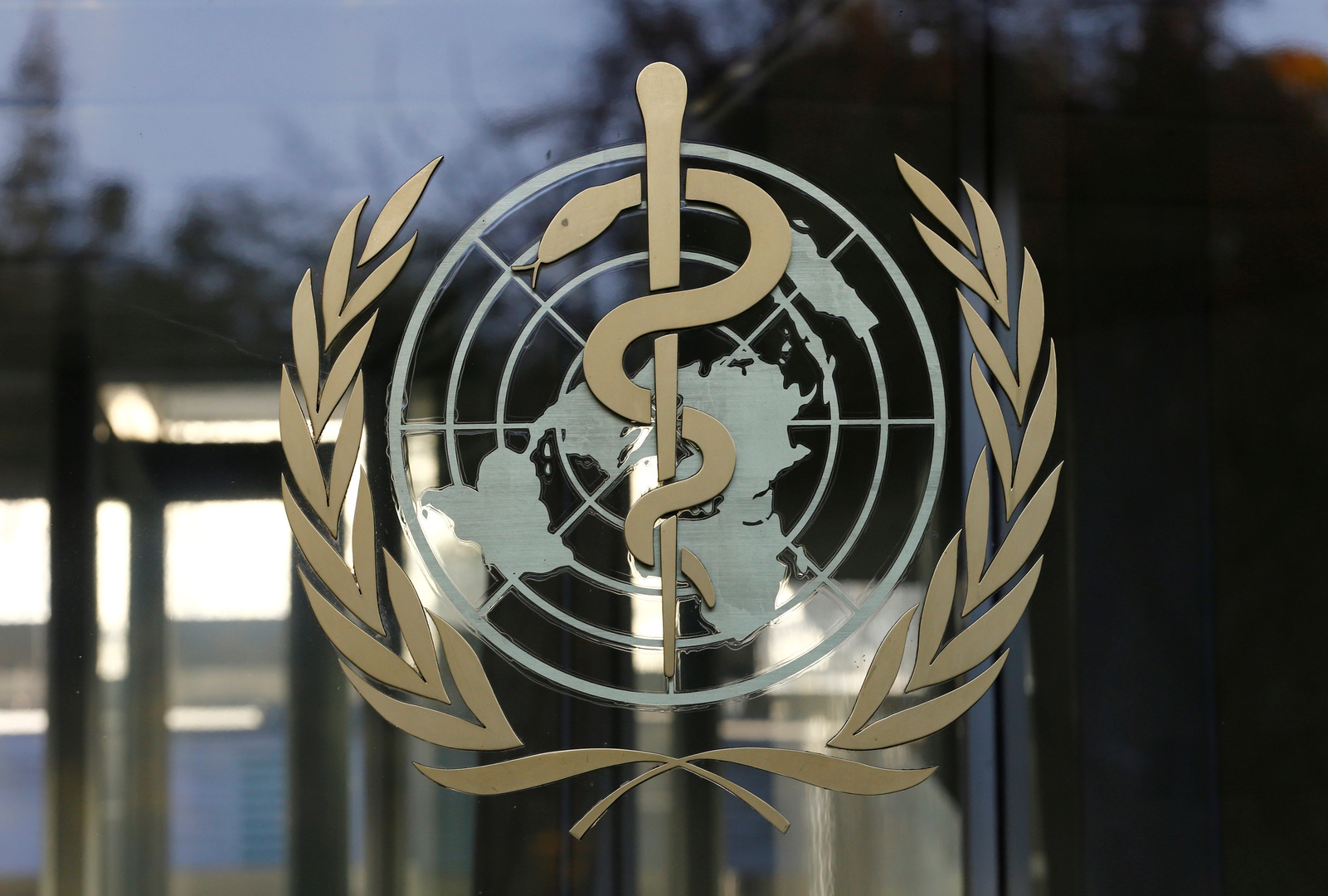 الصحة العالمية: لدى مصر فرصة ذهبية للتحكم بفيروس كورونا والقضاء عليه