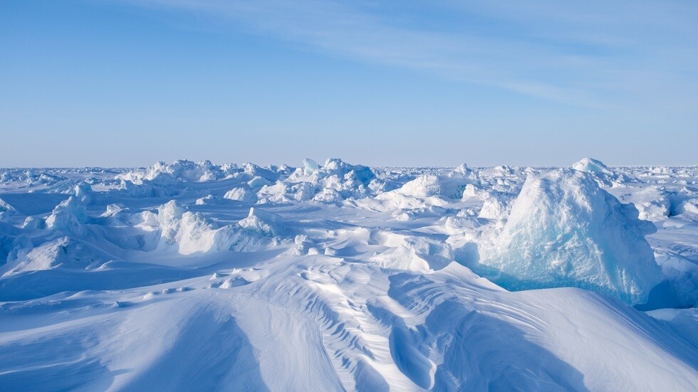 باحث قطبي: كيف ينبغي أن نقضي وقتنا خلال العزلة