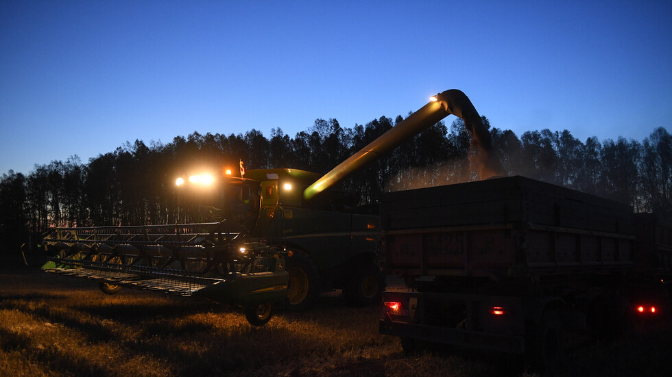 مصادر: روسيا ترسل أول شحنة قمح إلى السعودية