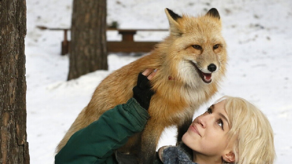 الأمم المتحدة: تدخّل الانسان في التنوع الحيوي مسؤول عن الأوبئة القاتلة ومنها كورونا