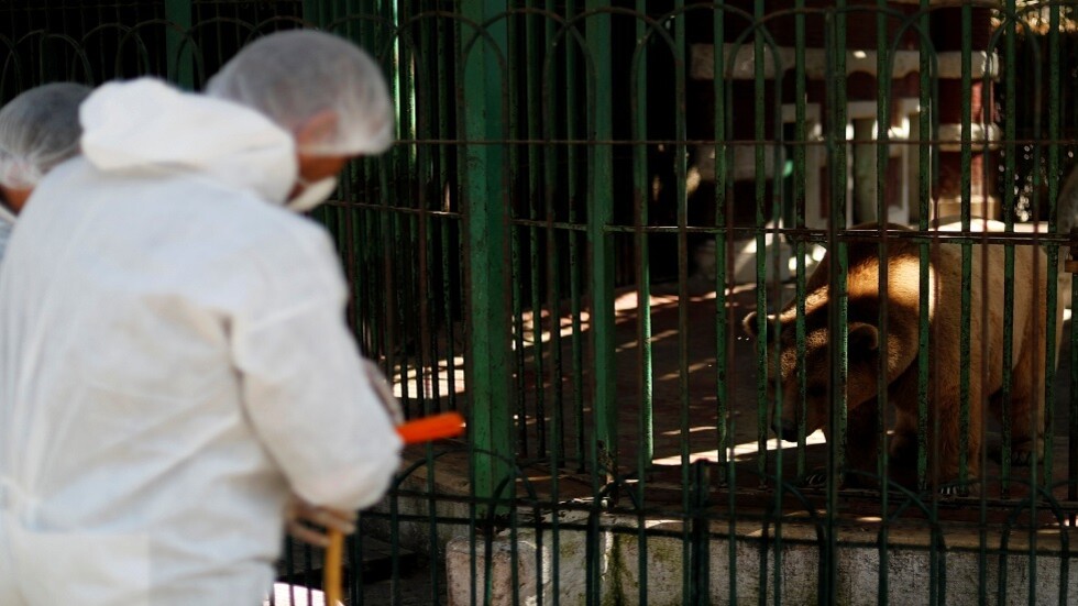 وزير الإعلام المصري يكشف مصدر تفشي فيروس كورونا في البلاد