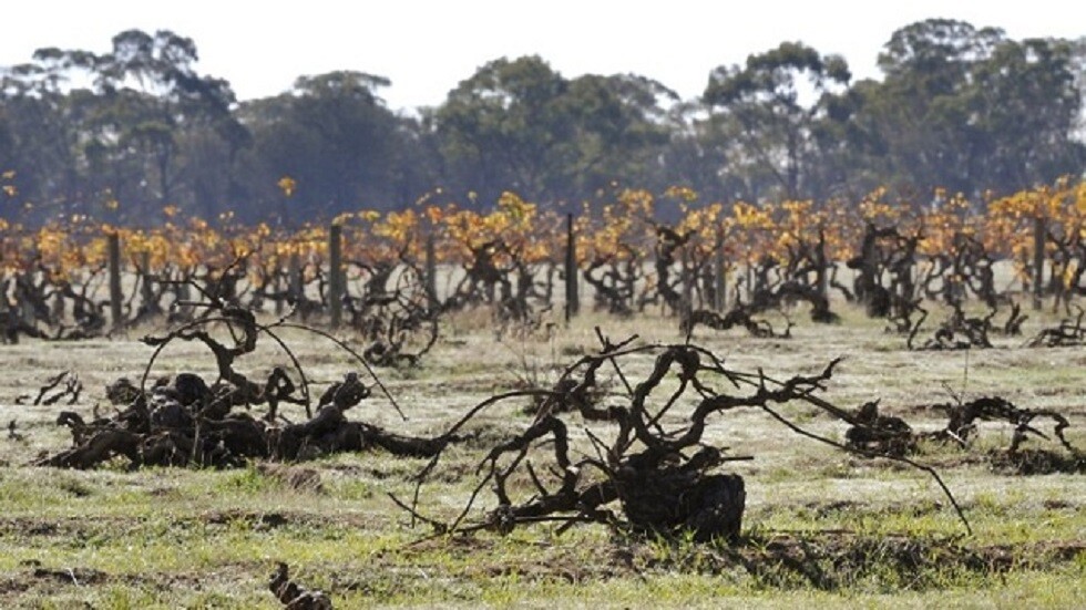 ما خطر التغيرات المناخية على الكائنات الحية؟