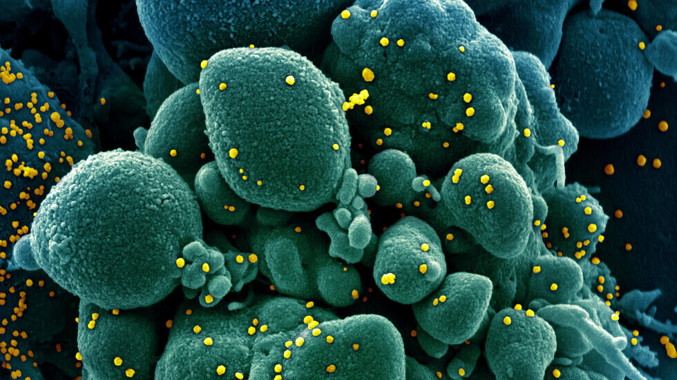 مدير الصحة العالمية: فيروس كورونا ينتشر بشكل سريع ويتراجع بصورة أبطأ