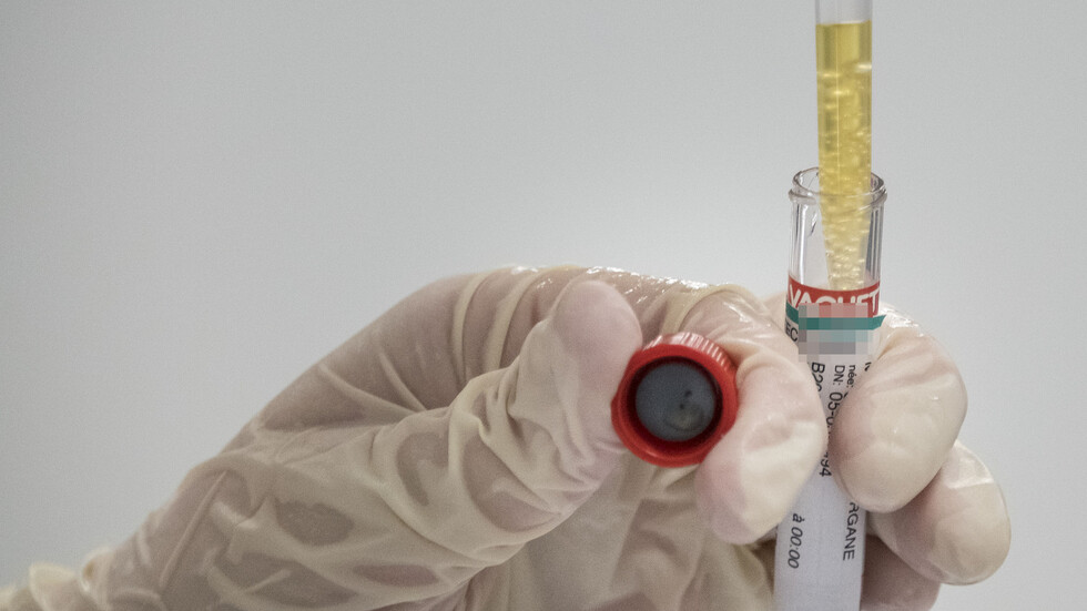 علماء فرنسيون يكتشفون درجة "فناء" الفيروسات التاجية