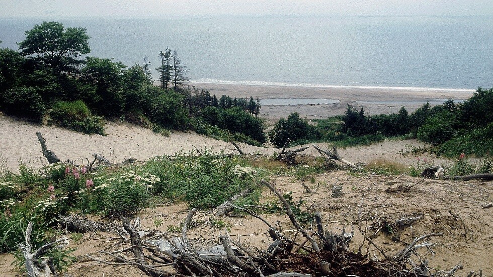 اكتشاف قطع أثرية للفايكنغ في النرويج