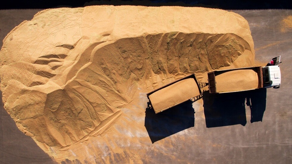 خبير: روسيا لن تترك العالم بلا قمح