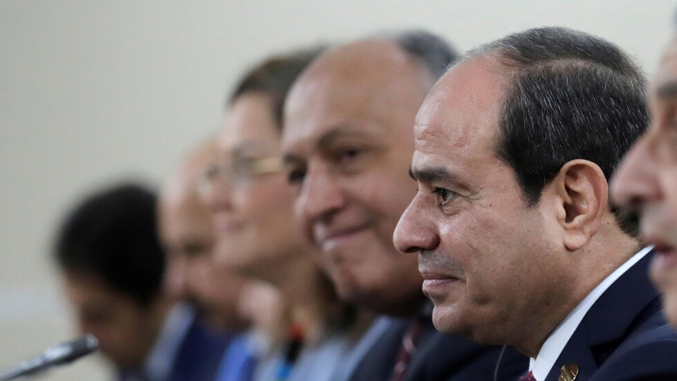 مصر.. السيسي يطالب الحكومة بحملات توعية للمواطنين عن فيروس كورونا