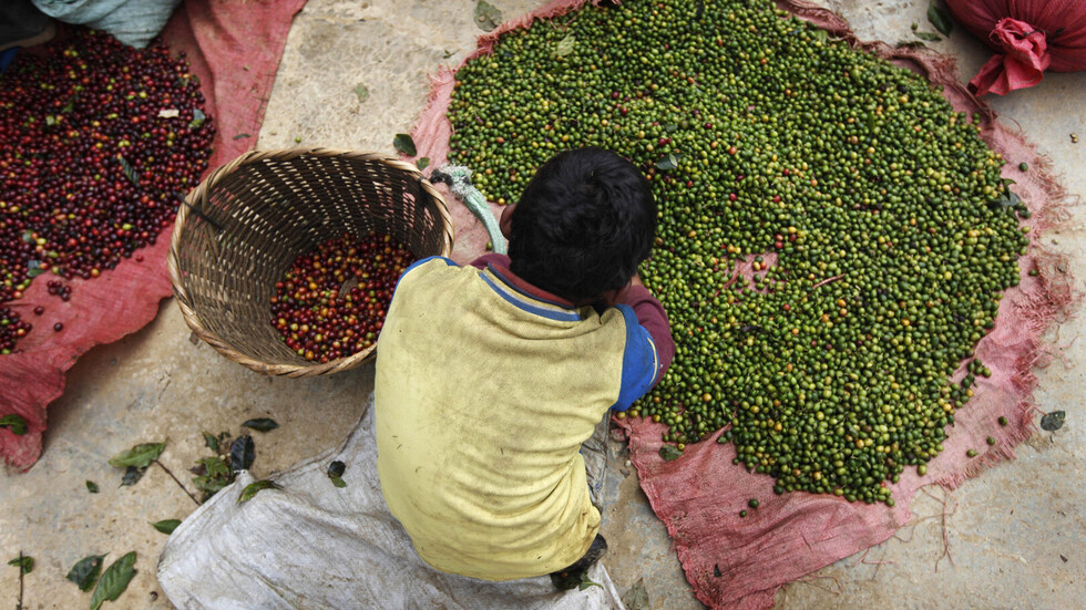 تحذيرات أممية من زيادة الجوع والفقر في أمريكا اللاتينية جراء وباء كورونا