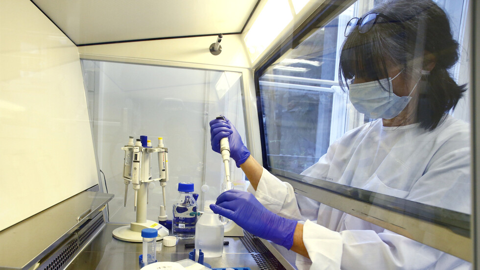 حيوان جديد في قفص اتهام "كورونا"