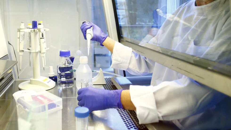 لليوم الثاني.. لا إصابات جديدة بكورونا في نيوزيلندا