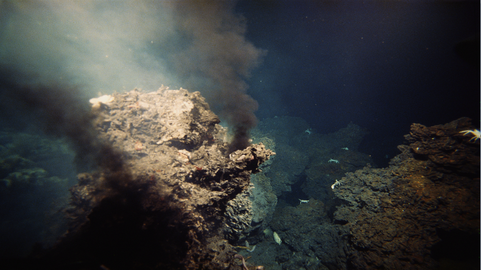 رسم خريطة غابة تحت الماء من مداخن حرارية قبالة ساحل واشنطن لأول مرة