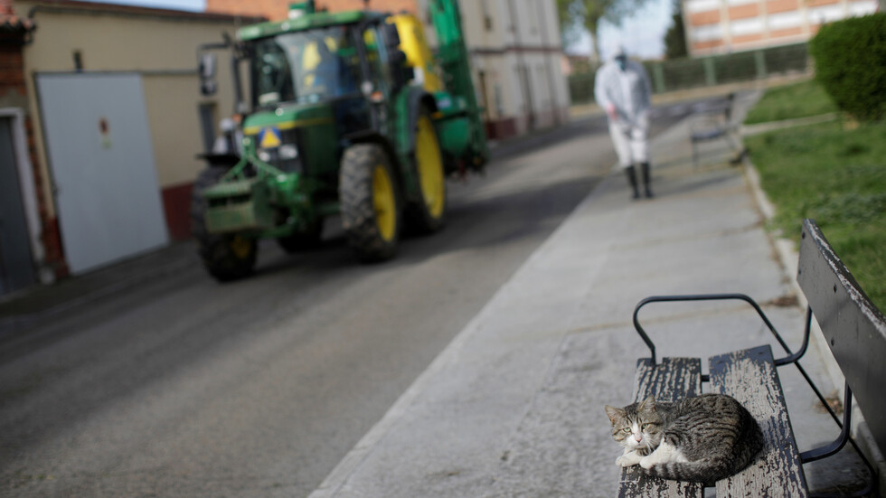 إسبانيا.. أرقام كورونا تعاود الارتفاع وتشخيص إصابة أول قط في البلاد بالوباء