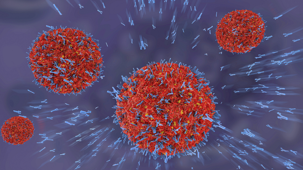 دراسة تزعم.. معظم المتعافين من فيروس كورونا يصنعون أجساما مضادة!