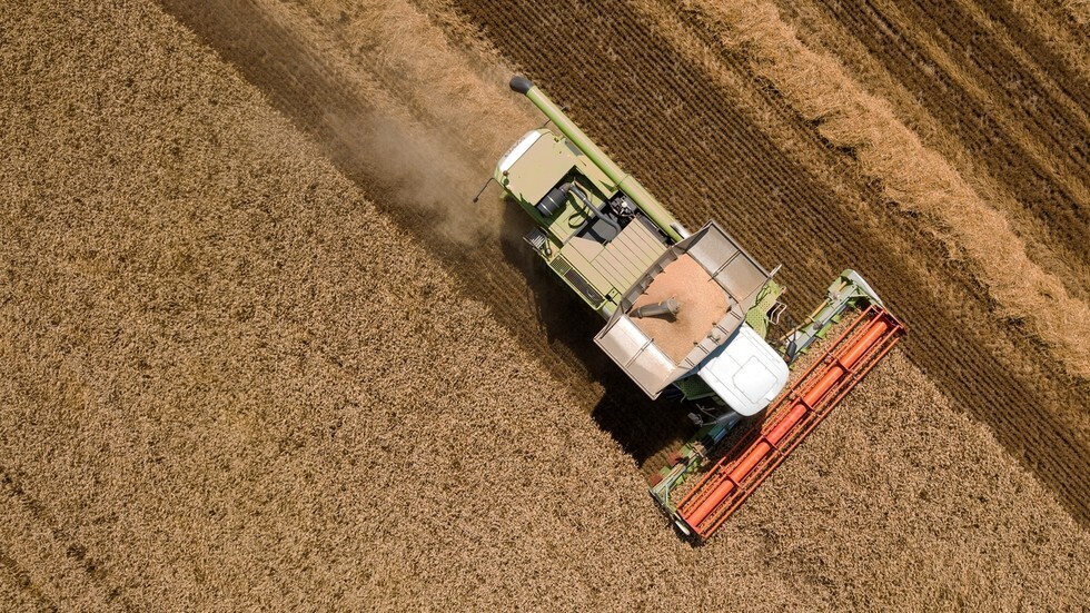 دمشق: مناقصة لاستيراد 200 ألف طن قمح روسي