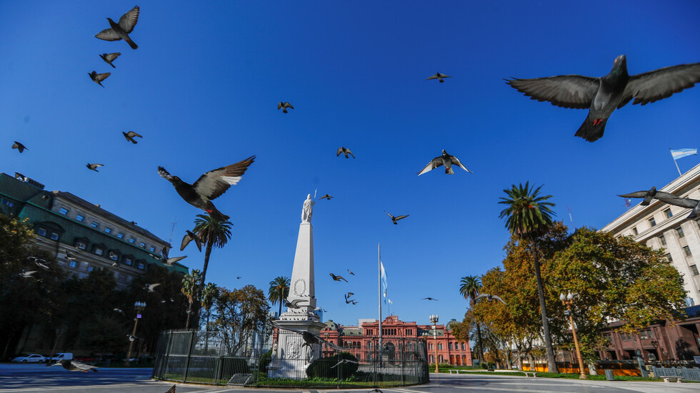 رئيس الأرجنتين: تدابير كورونا باقية حتى تطوير لقاح ضده