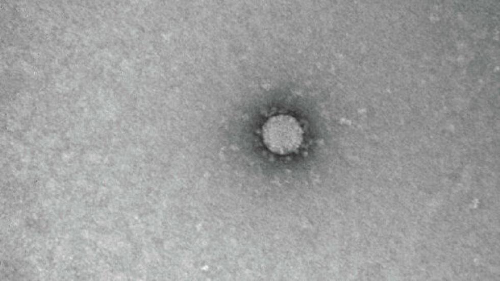 عالم فيروسات روسي يوضح خطر انتشار فيروس كورونا صيفا