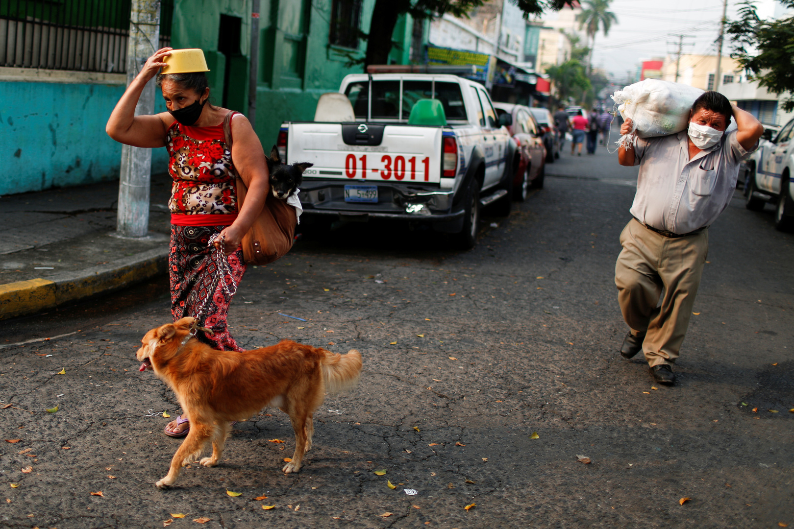 كلب يعثر على مقبرة سرية في المكسيك