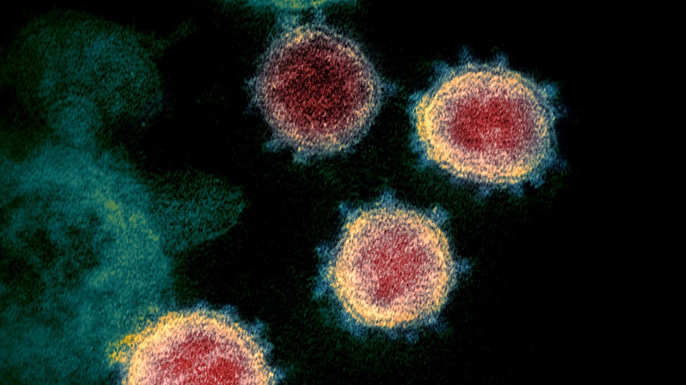  دراسة مثيرة: الفيروس التاجي انقسم إلى 3 فروع.. والسر يكمن في شدة العدوى!