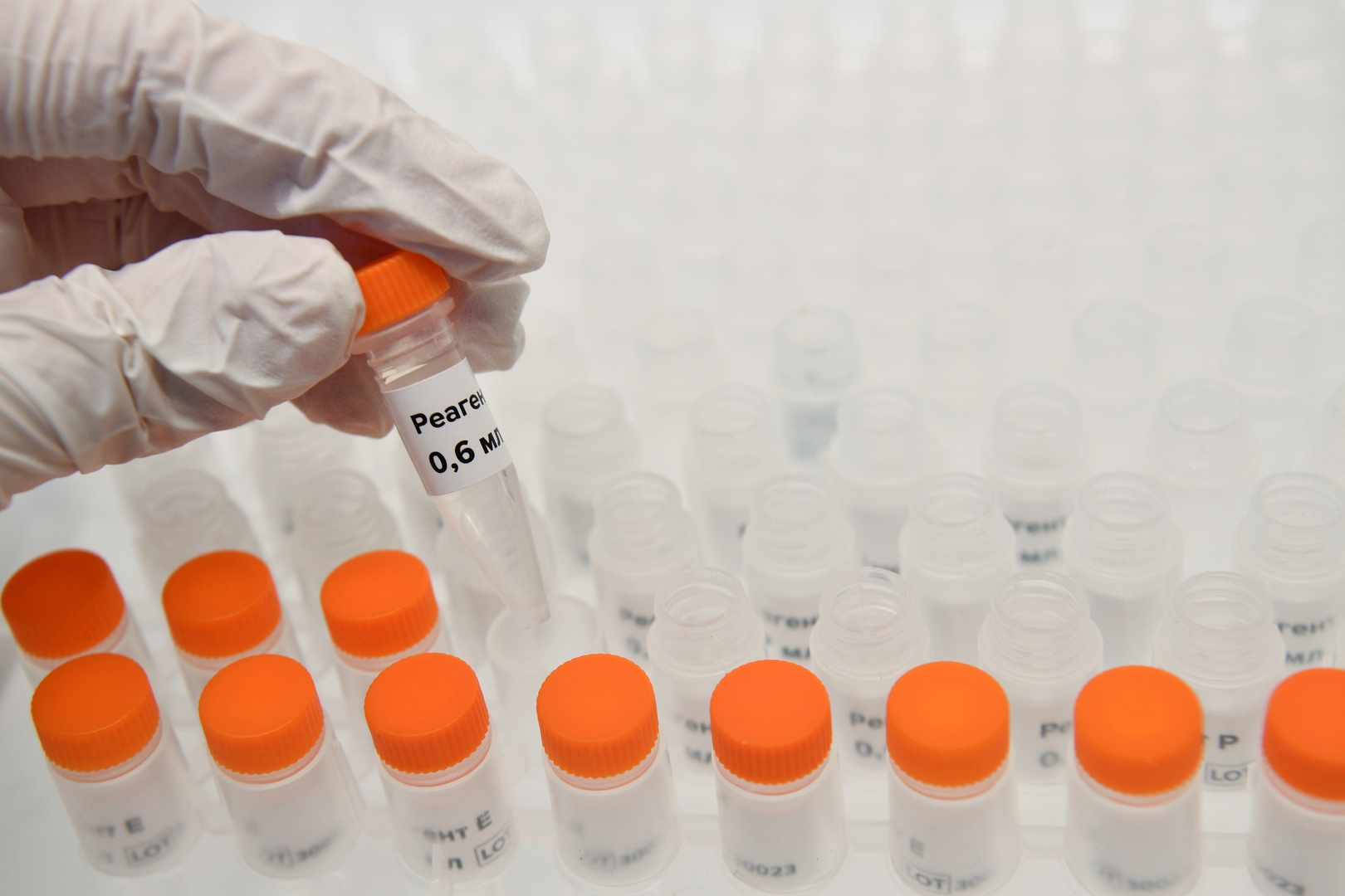 روسيا: إجراء أكثر من 8 ملايين اختبار كشف للفيروس التاجي