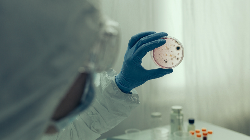 أدلة مفاجئة تزعم امتلاك البعض لـ