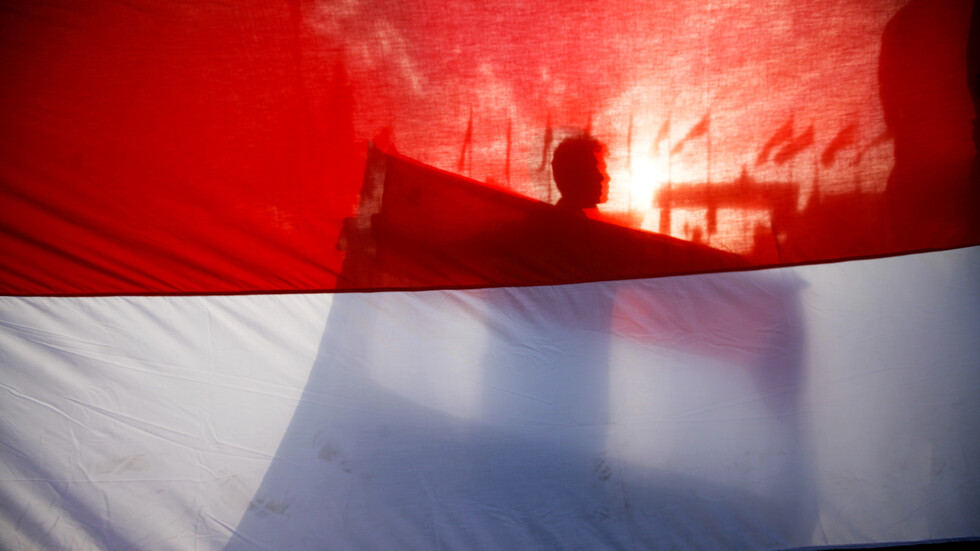 مندوب اليمن لدى "اليونيسكو" يدعو إلى مساءلة حكومة هادي