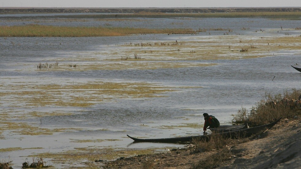 تقرير: "زهرة النيل" تهدد مياه العراق وأرزاق الصيادين
